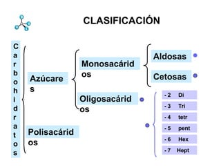 CLASIFICACIÓN

C
a                                Aldosas
r                 Monosacárid
b                 os
    Azúcare                      Cetosas
o
h   s
                                   -2   Di
i                 Oligosacárid
                                   -3   Tri
d                 os
r                                  -4   tetr
a                                  -5   pent
t   Polisacárid
                                   -6   Hex
o   os
                                   -7   Hept
s
 