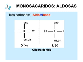 MONOSACARIDOS: ALDOSAS

Tres carbonos: Aldotriosas

         CHO                        CHO



   H     C        OH      HO        C        H



         CH2 OH
                                    CH2 OH

       D (+)                       L (-)         currentpoint 19
                  Gliceraldéhido
 