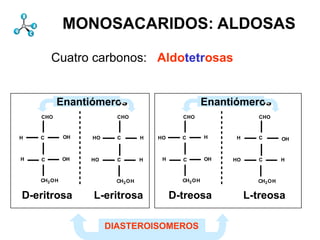 MONOSACARIDOS: ALDOSAS

                   Cuatro carbonos: Aldotetrosas
1DSt[14 I 1345 195220DStgr [0 II 1453 26061DSt Db I I 13451714 20DStgrI [0 II 1453 2606 DStIDb I 4370
3122 2580 4882 3125]
1822 2606 4352 3105]
4513 2756 3845 1904]
4352 2736 4921 1878]
4214 1904 1427 2455]
4552 1878 1952 2416]
1796 2086 4370 1714]
2095 2047 2464 2580 c hemdict 1952 SP 2 DSt 54 50I3122 1952 DSt [2 1952 2416 DSt [3 4370 24
1952 134540 80 40 DSt
4370 [12 I3122 3425 1714] [13 begin 1714 120 1952 4370803425 1714] [13 begin 1714 DSt [1
d 1 1952 1453 2606]
 20 59 50 3122 2580]
 dL 1033        3425]                  gr 1796 2086 1427 2416]
                                       26062095 2047 1952 1714]
                                       ]d end 1 [1
                                       [1 gs1952 1345 4370 2580 chemdict 1952 SP
                                       /bs[[1DS t[14 2464 40 DSt
                                       211 4370 [12 40
                                            3122 2580 3122 2606]
                                            1822 2606 1453 3125]
                                            4513 2756 4882 3105]
                                            4352 2736 4352 1904]
                                            4214 1904 3845 1878]
                                            4552 1878 4921 2455]
                                             dL 1033        3425]
                                                            2580]
mict/chemdict1190pyfillxpym1800s12gr}180neg}if/pxsmglp0setgraymvsbdc0fill}b/SA{aFpxcmpxZLBo/cX0wbegin1px
A-2grOswatOA}{1aR1aLne{bWaclxcp0c 360smLB25.8grOxfillmvgrmv1pymdupprOSacend6cpyx24.6fillb/AA{pxsmdict00
 OrA{pybdtclip}lroixOB/bLmtDA}{cwcmpx-4.8OBpexec}{grlbWc145wmtsat14radrosetgrayixpx-4.82npxcmnpgs3116.r
 grestorenegpex1450.3n0lgrrot-1CAtpxsp lpbegin/versionpywgl1grsOBcounttomark{bs1cv0.5S}if/lp-21gsx{nHL/mt/m
 ransformL/gs/gs avepdpdp20dvbs0dv}sc5type[]typeSACAFifecm/gscmst}{AsmvCApxr}2scBdlp00currentmatrix0w{
 cY dpnp-9.62.251ac xxDA}{dL{DS}ie s qrt2w0.5wdpx-1np5pp00mvaRradpyscx-1albsDA}{exec0nH2gsrssDne{0b/CS{
 2-1dvCAgr{gsmv1987,1pput 21.6xL/ix/indexiemvprlt{10pnega}c1p2.25ne{bWgralDA}{wnp-1round0.61wmpxp16dvbW
 vpx b/PT{arcnmv dp 0eq{DD}-1xl2.2 n/dx-1 0.6pp2{sqrts1.2paLcY1987,0t}120cp0sta/py8a40st}{1.0321.6rmvndef/c
  s2smexecs1986,st}{0m1p-1 mac2pymDLBsp%wD-9.6px16pgrlydp1roixro1end}rOstacdef/L{loadixgr}ie}1LBnp[{py1
  9.6-.6 0pFl8laLt}b/HA{lWl}for-.6-8ne{bWarccwgsdvdppybdycpopxydivcmbLl}for0.4-8dvifpyg/cXrOol2.2rOxsfillxdp0
  t{1x-1 na}{nppxbW end}b/Db{bs{dp 00gi rpydv-12eq{dpDSlm0sn/exxm1sst}]e0pcmst}{AslWrL/l/linetodvmvfillro
  60mdv t1.2pmvfillPrepL/ie/ifelssm8np-1 rac12L/l/linetoc23dpfillpxfillpsmaLlromv25.81cpDT}]o0xdef}b/d/defFw0ppg
  }gr}{pp} L/xl/translatemrOchemdict{gsr gs2ChemDrawdef/b{bind27wplmn/eygrs8 L/m/mulCA-1lobalpppdpgrpp
  pexec}{alLasersgpx s 1.2L/Sglt{-1pypy gs us0CopyRightnerlinetoatcpsm8put18039 m}gb/WW{rOsdv-1gsL/np/ne
  A}{cwsc ngrwy bd DLBppl{sf sc124.6 -1180ixwgr}{pp}{gsacpyavesm0pxputlt{-1eq{dL}cppst}{0lolt{e}ifppsd
  pyRighte gsp gs gr -9.6n/ey dpp sg 16m L/tr/transformL/gsl16lp2m0n27011fillg dpac1 m}b/CB{np[{[{ 2plxsc1og
  emDrawe 2poslac SA neg cm/wetr/dy {bd}L/gr/grestorenegnpslst}{0pdpbdcm p a}ie}DLB180L/n/negn 23cmrlin
  180py py neg}if/py py radro a}ie}b/WW{gslW1odvslp0aarcnw03.3751.2L/S{smOA}{131if1acapeq{DB}{DSp
  mvs12mv 0OBpyw cey mv0 0 m}b/dA{[3CBl16dvcWlx00m27w1pp}{2Cambridgemie2begin/versionc CS}{C
  ms{dpLB ms16.80.6 atbd py a}ie}b/BW{ serdicct/chemdictcmsteq{gspy2trdv/bd sc0 cp270gr}b/w-1sg 9.60cpw
   cm neg 5 cp0 12 -1 t8 px 1 p aAst} x/dx xlnegleq{DB}{pxmvxclippath4.8bdradopxne{sc0-1pyalpgcw2pxdp/clysm
   a} WI dL5lm0b/Ct{bs0s x cpt 1.5 3 {Asc0 dporev{dvetmvclip}b/Ct{bsmpg/bbdv0pscb/dA{[3dylW arcr Xrady1x
   dv 0 p p pp lp3.375 SA b1 OA}{1 pp1s2Facs{dpp{dL1w 12Prep0gifilll1r 180x -1dp14rsmpscD6lpr0.5180s 36
    cmv 1 ex8counttomark{ rot 0 mvo alp190mSApymv g/wsgnelW1pm2lZLB2ap sat16rmvoLB25.8xl}-10mvsc
    dp b2 px at nr dv Cambridge Scientific816sbeginL/mt/matrixpxor{4 0grwyxL/ix/index09.6ppexec}0DA}p
    {sqrt mv -1 npro 120bW e SA 4 l0 3pComputing,Laserrac2L/mv/moveto2.2b/BW{wx FgieCA2dvrOd
    dv sm
     HA}{
       c
       neg
       lp          n/ex
                      8
                      sc
                      px
                      cv
                      dic c 180 dx g DA}{cmlperOnpatOA}{ac3slSApOA}b1s lmcw 180s-1180Computing,t} 2
                      rad e         6 a SAt}{rpxs-.6lp-9.6 at lpbW 4xey ec1 lWgs 3 0OA}{1xl 12 OA}{11.5p
                                        l
                                        p RA}{61Dx}ifcmL/xl/trans bsSst 2pchemdictx/dx-1w0AA}{0cWaRAc
                                        2 -1-1DA}{cw-1.6p ex0-10.6latedpb/Db{bs{ -0.4 p26ac DA}{ 1cX sm
                                        5 st}b/OrA{begin {ex gspdpfillDA}{py-1x dv}{bd}iea/pxac py18npDS
                                        -1 -8gc2c-2HA}ndAn st}mWI1 x-9.6pySAtr/dy slneg arc33gspbeging/cY0
                                        neg dpyfillmvcvDA}2 o 8np0.3scgrmt0dv 0 dp24.6wx lr2.251b/Cr{0acp
                                            x 0 0 CA al Inc. dv 0 pp py xl-1sqrt py xpxSA OA}{
                                            In dv/bdx execst bs b-1 e-1 cpt 0 wb 4pp dv/bdpy l bs In
                                            w wc CB-2 arco p 5SA pydpAA}{1o dv asg e gs w x1mfill cY
                                            a py e xl}{xlnp{cw gs1 L/ie/ifelsepp p g rads ggrac d/wlpgr dy
                                            5 dp mmv DA}{2.25mveq{DD}{DS} 5ientificR cCBs/wxa Y
                                            o 2.25a}b/PT{85 gs2cmx negAgibW1.5 py ro}ie} CBn/dyfillpy -1
                                            e 0pp}px snegw lpp n1.6m DLBm/w f-1SA 0c5acgsneg16gsc cm CA
                                            fillac 180neg}c1986,pyggr}b/OB{/bSxlpy lpbWgimv dxaL0 ssetgra
                                            gsdy 2.2py bsp gsmlnmpx def}bind4 aAx} n/dx 12dp lp Dsg{xll ebs
                                            nprO n/dycXOA}{1 90acdictne{bWlt{ppm360 m/aL rev{neg}ifgr
                                            cpdp/cY0.5 LB neg}if/py ste cpp21.612s mvlW0-0.4S]}b/dL{dAs
                                            pybW2c-1sc sdvac0 p eb/HA{lW{px{1.5 2 gr}b/In{px 90 SA esgnpcm
                                             sl pA m 12 e g gr
                                             s -1 s 0
                                             x m2 w m
                                             1 grgs
                                                 S]}b/dL{
                                                 dL 1   fill
                                                        dv
                                                        rnp[{py c}b/Ov{OrA 0 4 npSA 1
                                                        b2
                                                        WI
                                                         sm       1 OB/bLrot dL etdash}d/c w Ac}{0.5
                                                                  -1 8
                                                                  16.8 sc 1.5 lpx gr}{gs
                                                                  pp}ifelse
                                                                  rO px
                                                                  gr cv
                                                                  }ie             g cpt dx p m 360e eq{-1.6
                                                                                  gs e g gs OB x}if m
                                                                                    rO rot DA}{dL cvDA}{
                                                                                    -.6 3 type[]type 5 L/a/a
                                                                                    ac Sc cm 0.5 s1 ne
                                                                                             neg}if/px -2 arc
                                                                                                  0
                                                                                                  4
                                                                                                  SA


                     Enantiómeros                                      Enantiómeros
               CHO                       CHO                     CHO                     CHO



        H      C        OH       HO      C        H       HO     C     H         H       C        OH



        H      C        OH      HO       C        H        H     C     OH       HO       C        H



               CH2 OH                    CH2 OH       currentpointCH2 OH
                                                                   192837465             CH2 OH        currentpo
         D-eritrosa              L-eritrosa                    D-treosa              L-treosa

                                      DIASTEROISOMEROS
 