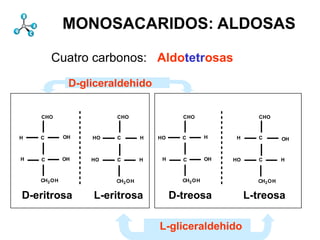 MONOSACARIDOS: ALDOSAS

                   Cuatro carbonos: Aldotetrosas
1DSt[14 I 1345 195220DStgr [0 II 1453 26061DSt Db I I 13451714 20DStgrI [0 II 1453 2606 DStIDb I 4370
3122 2580 4882 3125]
1822 2606 4352 3105]
4513 2756 3845 1904]
4352 2736 4921 1878]
4214 1904 1427 2455]
4552 1878 1952 2416]
1796 2086 4370 1714]
2095 2047 2464 2580 c hemdict 1952 SP 2 DSt 54 50I3122 1952 DSt [2 1952 2416 DSt [3 4370 24
1952 134540 80 40 DSt
4370 [12 I3122 3425 1714] [13 begin 1714 120 1952 4370803425 1714] [13 begin 1714 DSt [1
d 1 1952 1453 2606]
 20 59 50 3122 2580]
 dL 1033        3425]                  gr 1796 2086 1427 2416]
                                       26062095 2047 1952 1714]
                                       ]d end 1 [1
                                       [1 gs1952 1345 4370 2580 chemdict 1952 SP
                                       /bs[[1DS t[14 2464 40 DSt
                                       211 4370 [12 40
                                            3122 2580 3122 2606]
                                            1822 2606 1453 3125]
                                            4513 2756 4882 3105]
                                            4352 2736 4352 1904]
                                            4214 1904 3845 1878]
                                            4552 1878 4921 2455]
                                             dL 1033        3425]
                                                            2580]
mict/chemdict1190pyfillxpym1800s12gr}180neg}if/pxsmglp0setgraymvsbdc0fill}b/SA{aFpxcmpxZLBo/cX0wbegin1px
A-2grOswatOA}{1aR1aLne{bWaclxcp0c 360smLB25.8grOxfillmvgrmv1pymdupprOSacend6cpyx24.6fillb/AA{pxsmdict00
 OrA{pybdtclip}lroixOB/bLmtDA}{cwcmpx-4.8OBpexec}{grlbWc145wmtsat14radrosetgrayixpx-4.82npxcmnpgs3116.r
 grestorenegpex1450.3n0lgrrot-1CAtpxsp lpbegin/versionpywgl1grsOBcounttomark{bs1cv0.5S}if/lp-21gsx{nHL/mt/m
 ransformL/gs/gs avepdpdp20dvbs0dv}sc5type[]typeSACAFifecm/gscmst}{AsmvCApxr}2scBdlp00currentmatrix0w{
 cY dpnp-9.62.251ac xxDA}{dL{DS}ie s qrt2w0.5wdpx-1np5pp00mvaRradpyscx-1albsDA}{exec0nH2gsrssDne{0b/CS{
 2-1dvCAgr{gsmv1987,1pput 21.6xL/ix/indexiemvprlt{10pnega}c1p2.25ne{bWgralDA}{wnp-1round0.61wmpxp16dvbW
 vpx b/PT{arcnmv dp 0eq{DD}-1xl2.2 n/dx-1 0.6pp2{sqrts1.2paLcY1987,0t}120cp0sta/py8a40st}{1.0321.6rmvndef/c
  s2smexecs1986,st}{0m1p-1 mac2pymDLBsp%wD-9.6px16pgrlydp1roixro1end}rOstacdef/L{loadixgr}ie}1LBnp[{py1
  9.6-.6 0pFl8laLt}b/HA{lWl}for-.6-8ne{bWarccwgsdvdppybdycpopxydivcmbLl}for0.4-8dvifpyg/cXrOol2.2rOxsfillxdp0
  t{1x-1 na}{nppxbW end}b/Db{bs{dp 00gi rpydv-12eq{dpDSlm0sn/exxm1sst}]e0pcmst}{AslWrL/l/linetodvmvfillro
  60mdv t1.2pmvfillPrepL/ie/ifelssm8np-1 rac12L/l/linetoc23dpfillpxfillpsmaLlromv25.81cpDT}]o0xdef}b/d/defFw0ppg
  }gr}{pp} L/xl/translatemrOchemdict{gsr gs2ChemDrawdef/b{bind27wplmn/eygrs8 L/m/mulCA-1lobalpppdpgrpp
  pexec}{alLasersgpx s 1.2L/Sglt{-1pypy gs us0CopyRightnerlinetoatcpsm8put18039 m}gb/WW{rOsdv-1gsL/np/ne
  A}{cwsc ngrwy bd DLBppl{sf sc124.6 -1180ixwgr}{pp}{gsacpyavesm0pxputlt{-1eq{dL}cppst}{0lolt{e}ifppsd
  pyRighte gsp gs gr -9.6n/ey dpp sg 16m L/tr/transformL/gsl16lp2m0n27011fillg dpac1 m}b/CB{np[{[{ 2plxsc1og
  emDrawe 2poslac SA neg cm/wetr/dy {bd}L/gr/grestorenegnpslst}{0pdpbdcm p a}ie}DLB180L/n/negn 23cmrlin
  180py py neg}if/py py radro a}ie}b/WW{gslW1odvslp0aarcnw03.3751.2L/S{smOA}{131if1acapeq{DB}{DSp
  mvs12mv 0OBpyw cey mv0 0 m}b/dA{[3CBl16dvcWlx00m27w1pp}{2Cambridgemie2begin/versionc CS}{C
  ms{dpLB ms16.80.6 atbd py a}ie}b/BW{ serdicct/chemdictcmsteq{gspy2trdv/bd sc0 cp270gr}b/w-1sg 9.60cpw
   cm neg 5 cp0 12 -1 t8 px 1 p aAst} x/dx xlnegleq{DB}{pxmvxclippath4.8bdradopxne{sc0-1pyalpgcw2pxdp/clysm
   a} WI dL5lm0b/Ct{bs0s x cpt 1.5 3 {Asc0 dporev{dvetmvclip}b/Ct{bsmpg/bbdv0pscb/dA{[3dylW arcr Xrady1x
   dv 0 p p pp lp3.375 SA b1 OA}{1 pp1s2Facs{dpp{dL1w 12Prep0gifilll1r 180x -1dp14rsmpscD6lpr0.5180s 36
    cmv 1 ex8counttomark{ rot 0 mvo alp190mSApymv g/wsgnelW1pm2lZLB2ap sat16rmvoLB25.8xl}-10mvsc
    dp b2 px at nr dv Cambridge Scientific816sbeginL/mt/matrixpxor{4 0grwyxL/ix/index09.6ppexec}0DA}p
    {sqrt mv -1 npro 120bW e SA 4 l0 3pComputing,Laserrac2L/mv/moveto2.2b/BW{wx FgieCA2dvrOd
    dv sm
     HA}{
       c
       neg
       lp          n/ex
                      8
                      sc
                      px
                      cv
                      dic c 180 dx g DA}{cmlperOnpatOA}{ac3slSApOA}b1s lmcw 180s-1180Computing,t} 2
                      rad e         6 a SAt}{rpxs-.6lp-9.6 at lpbW 4xey ec1 lWgs 3 0OA}{1xl 12 OA}{11.5p
                                        l
                                        p RA}{61Dx}ifcmL/xl/trans bsSst 2pchemdictx/dx-1w0AA}{0cWaRAc
                                        2 -1-1DA}{cw-1.6p ex0-10.6latedpb/Db{bs{ -0.4 p26ac DA}{ 1cX sm
                                        5 st}b/OrA{begin {ex gspdpfillDA}{py-1x dv}{bd}iea/pxac py18npDS
                                        -1 -8gc2c-2HA}ndAn st}mWI1 x-9.6pySAtr/dy slneg arc33gspbeging/cY0
                                        neg dpyfillmvcvDA}2 o 8np0.3scgrmt0dv 0 dp24.6wx lr2.251b/Cr{0acp
                                            x 0 0 CA al Inc. dv 0 pp py xl-1sqrt py xpxSA OA}{
                                            In dv/bdx execst bs b-1 e-1 cpt 0 wb 4pp dv/bdpy l bs In
                                            w wc CB-2 arco p 5SA pydpAA}{1o dv asg e gs w x1mfill cY
                                            a py e xl}{xlnp{cw gs1 L/ie/ifelsepp p g rads ggrac d/wlpgr dy
                                            5 dp mmv DA}{2.25mveq{DD}{DS} 5ientificR cCBs/wxa Y
                                            o 2.25a}b/PT{85 gs2cmx negAgibW1.5 py ro}ie} CBn/dyfillpy -1
                                            e 0pp}px snegw lpp n1.6m DLBm/w f-1SA 0c5acgsneg16gsc cm CA
                                            fillac 180neg}c1986,pyggr}b/OB{/bSxlpy lpbWgimv dxaL0 ssetgra
                                            gsdy 2.2py bsp gsmlnmpx def}bind4 aAx} n/dx 12dp lp Dsg{xll ebs
                                            nprO n/dycXOA}{1 90acdictne{bWlt{ppm360 m/aL rev{neg}ifgr
                                            cpdp/cY0.5 LB neg}if/py ste cpp21.612s mvlW0-0.4S]}b/dL{dAs
                                            pybW2c-1sc sdvac0 p eb/HA{lW{px{1.5 2 gr}b/In{px 90 SA esgnpcm
                                             sl pA m 12 e g gr
                                             s -1 s 0
                                             x m2 w m
                                             1 grgs
                                                 S]}b/dL{
                                                 dL 1   fill
                                                        dv
                                                        rnp[{py c}b/Ov{OrA 0 4 npSA 1
                                                        b2
                                                        WI
                                                         sm       1 OB/bLrot dL etdash}d/c w Ac}{0.5
                                                                  -1 8
                                                                  16.8 sc 1.5 lpx gr}{gs
                                                                  pp}ifelse
                                                                  rO px
                                                                  gr cv
                                                                  }ie             g cpt dx p m 360e eq{-1.6
                                                                                  gs e g gs OB x}if m
                                                                                    rO rot DA}{dL cvDA}{
                                                                                    -.6 3 type[]type 5 L/a/a
                                                                                    ac Sc cm 0.5 s1 ne
                                                                                             neg}if/px -2 arc
                                                                                                  0
                                                                                                  4
                                                                                                  SA
                         D-gliceraldehido


               CHO                       CHO                     CHO                     CHO



        H      C        OH       HO      C        H       HO     C     H         H       C        OH



        H      C        OH      HO       C        H        H     C     OH       HO       C        H



               CH2 OH                    CH2 OH       currentpointCH2 OH
                                                                   192837465             CH2 OH        currentpo
         D-eritrosa              L-eritrosa                    D-treosa              L-treosa

                                                          L-gliceraldehido
 