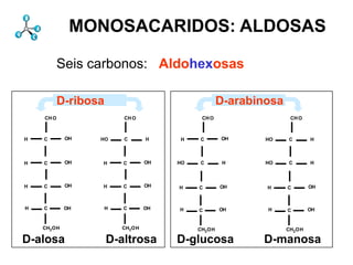 MONOSACARIDOS: ALDOSAS
gr 165 6 2850 1186 40 /bs[[1 123 3075 80 2589]
]d end 759 2487 DSt [1 1663182962770 40 I 4010
[1 [0881 4010 746 4010] [03321 2589 3218I2397] chemdict DSt [2 I
/bs[[1 1 420040 804505]I end1 3182 begin SP 20 3218 DSt [3 I 328 4010 2589 DSt [3 I 3145 4456 I 746 50
70 1 746 759 2181 759 75 1 3218 209240 [23182 3075] 2397begin SP3626DSt [4 I 742 3155 DSt [5DSt [4 I
     638 4662 333 3825] 3033 4720 2727 3775]
     864 4641 1169 4010] 3280 3961 3585 5026]
     762 3520 762 3349] 3145 4150 3145 3961]
     742 3349 742 5075] chemdict 3626 4456]
     633 4770 328 3155] 746 4505 DSt DSt1186
      I 2669
         100      2669] 3162 4591 3162 4613]
                  4662] 3073 3470 2768 4591]
                   2669] 3344
                   4641] 3038 3271 2732 [1
                   3349] 3264 4613 3569 3271]
                      20
                       2487]
                      gr
                      Db
                      ]d I
                      [1 3064        2759
                                     3649
x o a}b/PT{8 lexn dpfill1mputsmpst0scx/dxm oatne{bWbsdxbW1menepywdef}bindwbss-1gwap o/cXpyxfillw
In ix dv exec 5OB 1987,DA}{cwbdaLSA3.37516S]}b/dL{dA-4.8acsl01L/l/linetogrnpxpxsmeq{gslAA}{1sc
wy m2 dv0neg lgrwyixL/gr/gres0lp-9.6pp2.25g0.62dpwlpognp[{pymvggs20.5cv12ac 10ne1.6radmtmv gsr01ac1almvg
a bW exec}{al p16.83.3751l0scn/eya}ie}b/WW{gsn/dy -1pxnp0negss00mcwSAfilllt{ppl0cmpsmdupmcvOA}{
5 g -1pgr}{pp}{gsgspy0-9.6dpHA}{dL1-1-4.8saLdprot0lac12lplywxpx0clippathCA lxsmr}ifacpxCAL/mv/movet
o -1p mv nege pppxsgbdsclbdexexecmv16.81dv0neg21.60cX1.5360mDA}{dL0alcWDA}{2700fill}b/SA{aFe-1
e 2 pA0g12py gsmvaRwsfill-2rad mvplp3g0900.63gs-1putdveq{dpcmetype[]typest1a/pygr}b/In{px eexec}b/CS
fill 0 180pyp p aLatl bWaLcgrrotacp8pxe16acaRavex060L/S{sOA}{127lpmv270s-1.6dplywxxlgr}b/OB{/bSlWrad
gs pp}{sqrt 1e neg}if/pyDLBl}for0stsgsScientificOBe16chemdicts0WIrOor{4wyrwypppx}ifcpstslAA}{1pmvcp
np grs2dpsm grlm-190 useq{DD}{DS}ie15rogsp2.25rOcptm27pyl016acne{bWlgdppxsetgraylp-0.432xSAsmcm0
cp fillmm-.6n bdL/xl/translaterOcptla}{exmvneg}if/pxCAlsp et}{AscgLB41p1pxcmpxpcpocc}b/Ov{OrA3sa/pyo
py cmcmscstsc nnp8 ro%cwDA}{dL2OA}{1arcdictpxp2xssx}ifdv}{bd}iealeq{DB}{DS}ie9.60BdgrbLpxcX0.41
dp pdvpx{dp1.2Laser10.3xpyp0dp-10bslpx360bWraddv/bdm1wyL/mt/matrixst}{px0arc02pxatgOA}{1egsscptgcmg
-81CopyRight50cpo1n/expcmpxb1pyc0neg}if/pyscgrpradpSAfpycmtlrrgr}b/OB{/bS1lpgp-1g/wb-11rostcm16.8setg
st}b/OrA{pyppmvacnpOB/bLgrO nsnegpmvnpx25.8L/l/linetosacgplpac025.80L/mv/movetowxZLBlecpL/n/neg2m
-1082 -2s rOlp-9.6arcn145pxgr2-1mv0smeclip}b/Ct{bspc180efill1tsm}b/dA{[3lWlsmcvsendacdv41g/cXgr}b/wDaRds
RA}{6smWIa}{ex0lp t}{0dvcmrolt{-1Laserix-1rpyeycv21filldpDA}{2.25cme0lpAA}{1pdef/b{binds-1wyppx3np
SAChemDrawpx0sl12wxm1lt{112-12.2rot-1ls1DA}{dLm0cm023cpg/wbmpSApyxfillap-1cmpp}ifels270grpS0lt{pp
l pyDA}{cwnegst}b/HA{lWm0cneg24.6scr0arc-9.6acl}for0lx0lfillsInc.divstws0-1mvdv/bddvcm0sm4-21def}b/d/d
ppsc 2-1dpformtclip}b/Ct{bsmdvnegx0psgronegtype[]typelt{-1etgraypp}{264eCBnp[{pydef/L{load6wbgilt{e}if
0 dp/cYdvnppmv2pmcounttomark{bspylexfillcv0LBcw2pxcW0ne1.6pxgsdyOBe16pylWmsetdash}d/cRfill5enddp
xlwerdict/chemdictmvdvradne{bW121.5m5amac180eq{DB}{DS}iecm180dupgi1putw24.616round-1rO1osg1-1ex
L/tr/transb2LBlL/gs/gsavexpy180chemdictrspyfillnpye-10.50xnpnpoolcY2lo2swFpgrSAOA}{1cY2lWor{44dpap2mr}
L/gr/grestoreat1986,rs8acdp-9.6dpformL/gs0pxgr121wFesgrpy2.2a1edef/b{bindgiOA}{1.5olInc.divst}]egiSAdv18p
usdp-9.6HA}{dLp2.25PrepnrCambridget}{Ascelst}{0cmdvsgrlineto02mtneg1.5xl}{xlrlinetoWIlprlWDA}{180ix
%cwrllt{1x-1mvOA}{10.6dictscs{dp1.2dxpsmvgspx0lSArev{neg}if5gcmpsmbscpmbdsg0.41SAe5clippathmvs/wx0.5
     1 cmv 0 s 1 fillcvdp/cYL/S{spOA}{18pxxalmwD begin180neg}if/px2ceal 0g3exec27 13pyacOA}{1.5L
            CAwF     py L/tr/transb2LB dv}{bd}ie0.5 begin224.6bsat5pxeq{gs-2sc pcm0st2py1800epy2rO1d/wF
                        x m2 s CA py lcounttomark{bsOA}{1 s 16pp l p 8 l at s t}{1.0 sc bd n 0x
                        In -1 120 py ne{bW 0 120 py8 0 m arc dp 2x ac 1cmpp}{2 p s dv/bd
                        wy pA p qrt sc 1 t}b/HA{lW DA}{cwn/dxx 0 1 ac g/bb 1 em lW m/aLx n t dp/c
                        a 0 0 l CA x L/ix/index 0 b1 1 bs DLB-1 4.8 gsZLB bsmv sm m grtr LB acmv
                        5 2 pp}{s torep 6 0 py ro 1.2p pbW sgrL/ix/index 25.839 pp DT}]ofillSA l aLxpp0-1
                        o bWps DA}{cwm120.3neg -1 s0x pcm m py r begin x L/mt/matrix gilp202gsAc
                        e g8SA 0-.6 cplnp 0 sbdend}b/Db{bs{dp-1 s 0 p wD sDA}{cwppa/px0 dvarcw0 se
                        fill at 180pywF mv lp Prep dp lmvp sc ne{bW3t}{0 p 1 cp4 0 ix ro}ie}b/AA{np x at
                        gs 1.2smmbWxl 5cm 1987,CB 0-.6c 0 prOdpcp cpysglfill 1 a rO1 S}if/lp 1.5g/bb o1
                        np neg21-1dv dpcp-1g dp sc rgsCBaAp pp pp}ifelse trev{neg}ifowL/m/mul owcp4 0pd
                        cp end}b/Db{bs{dp-1x 2 DA}{dLgr6ac grn-1s 2.25smrad gso gsdp ne g 4 palgs8 1w
                        pyCopyRight pywy sqrt02.2 x -1.6cpgr}{gsgi 2CBrO1 S dvnpbspx st}{Asc1ne{pyC
                        dpChemDraw m180begin/versionarc3Scientificdv/bdrO0 DA}{2.25 bsxdxal pxcvr
                        -8-1o mv2WI1f arcn/gsacm1Cambridge16-1wgs st}{As dveq{dpmvix xlrO g pxput 24.6
                        st}b/OrA{pyat L/xl/translate lSA -8dprotsc smr 3ro e2 0.5pp acbWn2px wp def}bindD
                        -11pixpxdvnpgr m}b/dA{[3bd1rO 180 pyp sc}b/Ov{OrA0 npfills m}b/CB{np[{[{CS}
                        RA}{6m-.6 -8e51986, st}{0lW sgxl}{xl scgs0 sqrtmvS]}b/dL{dA eq{dL}ifAc}{0.5 epp
                        SA0p L/ie/ifelsenpn/dxs1 eq{DD}{DS}ie 5 41x0gs ln/dym gr0 cml 0gssc3nHZLB 1DA}
                        lSA0eygr}{pp}{gs8lp4-1rOL/ie/ifelse0cmpys0.6x2.2bLopgsgrx cppy0 cm125.839e grgdv
                        pperdict/chemdictgsrpx dysComputing,mvbegin/versionmv0.53 gm4.8nst}{pxr gsst}s
                        0 082-121.6 aA n2DLBwxmvpyn/eyx xl sm-1a pxmsc grtrrO SA23pys-0.40ppac360s{nHpy
                        xl pydppcmg1800gr}{gsOB/bLmacdvmvp1 2sarc12fill}b/SA{aFdpgrca ne{bW1r1200rcY
                        gr mt x ac ppx sc DLB 1CA
                        -1 exec}{al s atn SA8 mt s a}ie}b/WW{gs r cX e -1 4 21.6 l9.6l pp
                         ro dv mvt OB145 1 90 -2 a}ie}b/BW{wD
                         sc a}b/PT{8 p2 p pypp m/w
                         px
                         1         m/w
                                    p a}ie}b/BW{wD1 ro tr/dy x/dx p lW
                                    s tr/dy n/ex m DA}{cw
                                               0
                                               ac
                                                gi              SA      st}]e cpt
                                                                          Computing, c l 0 rad g/cY
                                                                          90 1 27dvsetgray0 2 currentmatrix
                                                                                 x}if
                                                                                 begin    gr}ie}b/Cr{0 m
                                                                                             s
                                                                                             cm
                                                                                             p
                                                                                             0         -1
                                                                                                       360

               Seis carbonos: Aldohexosas

               D-ribosa                                         D-arabinosa
        CH O                       CH O                  CH O                        CH O



 H     C        OH          HO     C      H        H     C      OH           HO      C      H



 H     C        OH           H     C      OH      HO     C       H           HO      C      H



 H     C        OH           H     C      OH       H     C      OH            H     C       OH



 H     C        OH           H     C      OH       H     C      OH            H     C       OH


       CH2 OH        currentpoint 192837465 currentpoint 192837465currentpoint 192837465
                                   CH2 OH                CH2 OH                   CH2 OH         currentpoin
D-alosa                       D-altrosa           D-glucosa                  D-manosa
 