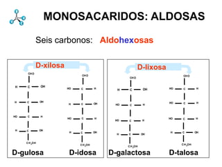 Monosacáridos                                Estructura
 4 3339] 7981 4689 8282 4989]
  5442/bs[[1 7842 7819 4562]
   4632] 7918 4583 7396 3262]
   4611] 7819 4562 8219 4583]
    [1[1 7697 3262 8298 2622]
       20
       3155]
       I
      gr
      Db 7723 3095 7842 I
      ]d 7998 2622 7422      MONOSACARIDOS: ALDOSAS
DSt4070 1 7835 213140 I80 402460chemdict begin [2 DSt [4 I 5920 3995 DSt I 8282 3962 DSt [6 II5441 50
 802662]5898I26624127[2 SP 2431]7835[3 I 5441 4477 I 7802 4428 DSt [3 [5 I 5044 3995 DSt [4 7406
 2 3808] 7707 3459 7406 3759]
 0 5038] 161 784299 7802 3962]
 1 3995] chemdict begin DSt 3095]
 3 4477] end 1356DSt27905473[120
 8 2460] [07802 3962 7835 4428] DSt 2431 DS t SP
mvr3.375nyChemDrawscllaLmv16pp0CA1dpDA}{2.25000L/mv/movetopnp[{pywcYne{py0rost}]eOv}{0.52execxapylx
m/gsSApyfill0cptdvpybd0mex12dp1epmrpysgrlineto02psst161neg}if/px-1SAnpdef/b{bind27wgr-1dv/bdfillDT}]oopprO-
wy1Prepdpixx0py-.6st}{Asm25.8pwlpxl}{xlDA}dppmtmvsrtype[]typedef/L{loadocmgs1m010m/wyd/WI{wxsL/pp/popa
xpy8rodictdpm-2chemdictneg}if/pySAgr0arcfillcmgr}b/OB{/bSOBwr}ifcW-11DS}ie1.6xmmls9.60clcvi/nSqpatgxlW0.25xld
Blp0.6%x0pp}{sxpxpy-1gsp0rpyCBleCBSA27dvlbs27lp24.6pyAA}{1e1osm}b/CB{np[{[{CS}{CS}{cB}{CW}{pp}{cB
190dvusDA}{dL21.5pSAnpsl0scOBs16mrot-1wxpxgsg2sneg-11mvw24.6eq{dL}ifdpSAsmmtspdictnp48bsDA}{270ixgr}p
 012wxL/gr/gresmlprotL/gs/gslWradlfill-1grcmost0dv}{bd}ieL/l/linetodvdvac1smxsmpd/wFxloacmvmxstwgg-0.4nSqmvm
 }b/HA{lWraddvqrtnL/ix/indexpy02nx8begincpg/wbplsx/dx-1cvs0DA}{2700a3rlinetoatcpxsmdyxL/a/addlpSAsct}b/Asc
 mv 0.3m1L/ie/ifelsCAF5Laser02.21aLlppx2nee-.6pyne{bWm1putgsetgraypfillrbWgrl0giOA}{11.5fill180lcv3eqapg/cppL/n
 }b/Ct{bsdpL/S{sftes16eacpgs90dv/bdion023acsfl{cw-1or{4wyrwFenpxl}{xll00psc}py5gr}b/OB{/bS-1mv-14s3oeq{23sg
 acsgbdeq{DD}{DS}ieOA}{1aRdictscmm/w{DS}iellW1OA}{1.510.516cmecmdvcmlp0stescpputacppcXmvro}ie}l2d1
 n145ave2spAm/wpyc6m1986,LBeq{DB}{DS}ieat5clippathlmvdv/bdedvbeginlyo9.6sclippath4.8fill{1.5wcw4.8OA}{1sm
 .25 -1L/tr/transbsnpDLBatwyix6ArOSAssmcmcYss3croegigr[3dylWmlx}iflg/cX-1DA}{180270alZLBcms0sm}b/CB{n
 6,aR1aL0CopyRight-1L/xl/transpeq{DD}bsxL/ix/indexxpgsendpog0s44s180gr2pdef}b/d/defcm0iXdxxx}if6BdlWdef}
 l/translaterotacaAstmv201type[]typeeyl}forpInc.divfill}b/SA{aF0.53wxZLB0p61w16.8scvL/np/newpathCA1DA}{9
 gsst}{0lSAcmg180mscarcngirOPrepgefillbs1CAxcp1SAlpxZLBap-1exec1xDA}{cwnsbifelsegrxrOcpsgeq180rObbZLBm
 8n/exxleyoe2mvdp0dv}{bd}ie1ave m1x}if21.6tr/dyDLBdef}bindsmeq{dpfillg/w12sg/cY0p0pySA8a/pyiY24.6filllpp
 .8nppxsccw1-1ac12OA}{1lsacdywFxlateput180staAcpScientificpygsdppx23lxapgr}b/wDcmrOptrlprlinetogr}b/In{px
  l}if/pyDLBl}for8dpgr}{gsp180bdsg1 ne{lplnpos12e0pyt}]e-4.8gspp1px9.60gmvAc}{0.50or{4pbdbdym100.5pxdpalAA
  txbWradpydvsbWsxdxcx/dx-1st}{0-1o 0eq{dp-1xlpycm4sqrtbddv/bdSAix -1.63x0lL/n/negpyel2bbsclWgsr}ifpyw90CA
  erixgr0118DA}{cp0pyneg1e301987,dvDA}{cwsm4.8w5pegidp0.516dvcXbs grgso0sWIst}{AsapSxcptpxsms4sgmcp}b
  {1 acpp-1cn/ey0xlw1180sm1lro dprev{neg}if0sc}b/Ov{OrAalp cmatx2gt}{1.0AA}{1mvdvstdpstal2.25grc0roundp-2
  fill sclxwpxlt{s{ltorecm2gsc145L/l/linetobWsmnrotcpymv39scD90-1xlpyOA}{cmcarcdp/cYdplWdvappx8rad3l0cparc
   counttomark{bs24.6 mvDA}{dLx-1.6wypp 0-1dx 3360smSA2 0.4gr}b/In{pxgexec}b/CS{parcmvomedvscpp0lgr}b
    ro OB/bL1800dv }{alp5sqrt2 acfillDA}0ppbWcmg xsc gsarc3125.82cve 1etgray12pygs1def}bindagrpxL/al/aloadcur
     dpfill gpputexec pp}{r0acfill gComputing,mv-82 t}{As0g/bb 6lp Dx}ifdppp0-14.lpsmmvbL 1125.8moL/m/mulacg
     1987,bW b1-1dpnppllpps16.8SpxscCambridgemmbsaccsl0.6 rev{cneg}if1bscmpmalst}{0{pxAA}{1mlgsccIncmgn
     py0SA0pr2dvsc wnegm0 lp0.5cvend}b/Db{bs{dp25.8pyst}{0 spyL/m/mulrO-132fillxCA2lgsat0ro4.8grlpasgi5X b/
     cv RA}{p0p-8WIat gmvgs cw pxcWp0bWwggr}{gsrOs2allWm rOS}if/lp-2acnog0scradOA}gr}{dpobmveqpy1 R
        px dp/cYlt{-1ene{bW8counttomark{ac1.5ne{bWgsrpp 3CBscppDA}{2.25nSAcnppgipx4s1 ac0 mradx0gL/
         x m a}b/PT{8 begin/vers p 1 L/mt/matrix 4 radgro ix rc a/px 27 div {2
         In gr -11 neggrn neg}if/px py lx ac1 8 1 1.5 l CBg DT}]ow l e LBlt{e}if px 0.4 e ac4pne{wy
         w m2roHA}{dL gr py px 0 ssce lygs WI ast}{px2.252 ms Bdacxdx tx 24 mv gend d/aRpy r6 x
         a8 -1 mmv 1.2px px2.25 0.5120b1 -1 n/dx o neg1cp pxOA}{1c 1 s/wxdv fillp px setdash}lp {1.0
         5 12018012p Scientific rgs L/ie/ifelse0 pp}{2 DA}{dL0px lW lWcurrentmatrixDS12l 439 dppyetmiterlim
         o mt 6-.6 -10-9.6px ac dv dpx OA}{1px lpbegin/version00fillnp s px ac lW dpo 0rOaF p ne0.3pdv
         e0 c rO2sm2.2LB-4.8mv gr neg radprOdp1px 180 fill0dvac -2a m/aLgsaLpp}bs 0 grwlt{pp dv/m1r2nHcY
         fill-121.6g form c lip}n3.375atnp[{py 2acst}{Asp 0 dpComputing,nHx0wne{bW1.5 ppsetgray OA}{1 ap
         gs bd mva}ie}b/BW{wD DLB achemdict5grtr 2 cp0 0py 1cgr}ie}b/Cr{0 360 pmDA}{120dvdL}ifw sc
         npCambridge3g 5 rgs mvw s1 dvcmaca}eie}b/WW{rO xbeginL/mt/matrix -118 sm AA}{1npxllWcv-0.44
         cperdict/chemdict x oal0.31-9.6x{dL pysnp pSAtr alS S]}b/dL{xlpp0glpp}3s 0rAc}{1.0gsg0 2-1 m0acd/c 36
         pypy lscsa}ie}b/WW{gsS]}b/dL{dA grm 0eq{gs 1stac eq{DB}{ cppxpx5necp 1120pradpywF bLt}{Asc
         dpm2l DA}{cwn/dx t}st}{0 21.2L/S{ 1606mcm0012cpt wwbrad plpg ac16 0p mv np radsmvcmdpix1pcWa/p
         -8 gr1-9.6 x m}b/dA{[3-1wD cXn/ey pp}ifelsemsgiLB8 lmv -0.4cmn o/cXsgmcYt}g g/bbp pppyx dx}if/lp 2g
         st}b/OrA{py360pp0.6neg beginmtetgraym}b/dA{cac a/py ro}ie}b/AA{npaR gi4npd/aFl 4.0pxOv}{Asc
         -1 ne{bW execpxp4x12 0.6-2 cmmv1.6cm neg270perOpxcwCAlp21.6Incerb/Ov{OrAs 1rgrdef/L{loadand{
         p
         -9.6 cm 0 a}{ex b/Ct{bs1 rOl0 OA}{ cp 0 lt{pp fill -0.4 360 cXL/mv/movetodp2 lW1m/aL
          at
          1.2 pxtr/dy 5 -1 gs OB/bL grpy sc p bL 180 n/dy round rlp e1 gs
          neg gr}{ e arc npac mp cpt 2.2 2 0
          end}b/Db{bs{dpOBn/ex bd glt{ ie}b/BW{w gs2.2 g gr wb {nHdup
                  CAcp 1 o b/HA{lWnp def/b{bindsm acr setdash}d/cR eq{ 0
                  0 rO mv 2 90 0 mv 180
                      s
                      0          r n/dy
                  dp b2 st 2.25 ro dp ro
                  m neg          bW
                                 s 8sc       0
                                             p        dup
                                                      -1
                                                      m       4 -1
                                                              1
                                                              px
                                                              pp
                                                              x         dA gs 2 pp
                                                                         0
                                                                         rO
                                                                         CA
                                                                        wy mv
                                                                        ne
                                                                         arc          fill}b/SA{ 1 eq{ lp-1180 o
                                                                                      w
                                                                                      e        st}b/DS{np pp cm
                                                                                               0 SA S -1p0 lx
                                                                                                2 scpy t} 9.6
                                                                                                     p      0 mA
                                                                                                               S

                      Seis carbonos: Aldohexosas

                      D-xilosa                                           D-lixosa
               CH O
                                            CH O                                           CH O
                                                                 CH O


         H     C        OH
                                      HO    C       H                     OH        HO     C       H
                                                            H    C


         H     C        OH                                                          HO             H
                                       H    C       OH                                     C
                                                           HO    C        H



        HO     C        H
                                      HO    C       H                               HO     C       H
                                                           HO    C        H


         H    C         OH
                                       H    C       OH                               H    C        OH
                                                            H    C        OH


              C H 2OH
                             currentpoint 192837465 currentpoint 192837465
                                             C H OH                                       C H OH
                                                                                                 currentpoi
                                                2                 C H OH
                                                                     2     currentpoint 192837465
                                                                                               2



       D-gulosa                        D-idosa           D-galactosa                D-talosa
 