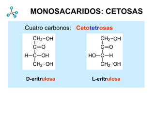 Monosacáridos         Estructura
 MONOSACARIDOS: CETOSAS

Cuatro carbonos: Cetotetrosas
  CH2 OH                 CH2 OH
  C O                    C O
H C OH               HO C H
  CH2 OH                 CH2 OH

D-eritrulosa          L-eritrulosa
 