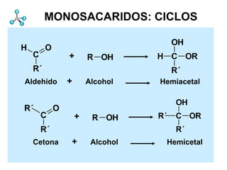 MONOSACARIDOS: CICLOS

                                          OH
H        O
    C            +       R OH       H C OR
    R´                                    R´
Aldehido         +       Alcohol    Hemiacetal

                                           OH
R´           O
        C            +    R OH      R´     C OR
        R´                                 R´
    Cetona       +        Alcohol        Hemicetal
 