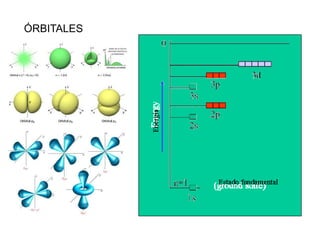 ÓRBITALES
 