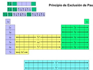 Principio de Exclusión de Pau
 