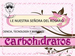 I.E NUESTRA SEÑORA DEL ROSARIO CIENCIA, TECNOLOGÍA Y AMBIENTE 