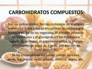 CARBOHIDRATOS COMPUESTOS:
Son los polisacáridos, formas complejas de múltiples
moléculas. Entre ellos se encuentran la celulosa que
forma la pared de los vegetales, el almidón presente
   en tubérculos y el glucógeno en los músculos e
 hígado de animales. El organismo utiliza la energía
   proveniente de éstos de a poco, por eso son de
                   lenta absorción.
   Se los encuentra en los panes, pastas, cereales,
arroz, legumbres, maíz, cebada, centeno, avena, etc.
 