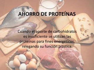 AHORRO DE PROTEÍNAS

Cuando el aporte de carbohidratos
   es insuficiente se utilizan las
 proteínas para fines energéticos,
  relegando su función plástica.
 
