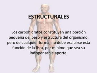 ESTRUCTURALES

  Los carbohidratos constituyen una porción
 pequeña del peso y estructura del organismo,
pero de cualquier forma, no debe excluirse esta
   función de la lista, por mínimo que sea su
            indispensable aporte.
 