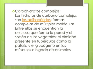  Carbohidratos  complejos:
 Los hidratos de carbono complejos
 son los polisacáridos; formas
 complejas de múltiples moléculas.
 Entre ellos se encuentran la
 celulosa que forma la pared y el
 sostén de los vegetales; el almidón
 presente en tubérculos como la
 patata y el glucógeno en los
 músculos e hígado de animales
 