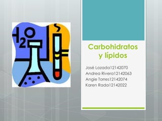 Carbohidratos
   y lípidos
José Lozada12142070
Andrea Rivera12142063
Angie Torres12142074
Karen Rada12142022
 