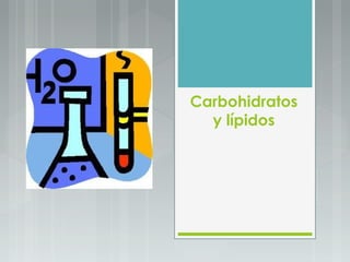 Carbohidratos
  y lípidos
 