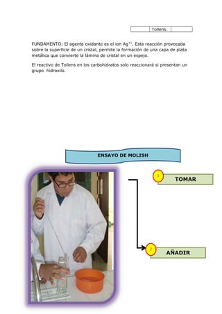 Tollens.


FUNDAMENTO: El agente oxidante es el ion Ag+1. Esta reacción provocada
sobre la superficie de un cristal, permite la formación de una capa de plata
metálica que convierte la lámina de cristal en un espejo.

El reactivo de Tollens en los carbohidratos solo reaccionará si presentan un
grupo hidroxilo.




                                ENSAYO DE MOLISH



                                                             1
                                                                      TOMAR




                                                         2
                                                                 AÑADIR
 