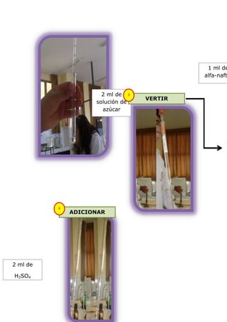 1 ml de
                                           alfa-naft


                      2 ml de 3
                                  VERTIR
                    solución de
                      azúcar




          4
              ADICIONAR




2 ml de

H2SO4
 