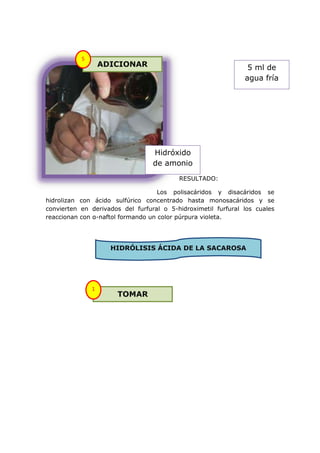 5
                   ADICIONAR                                    5 ml de
                                                               agua fría




                                  Hidróxido
                                  de amonio
                                          RESULTADO:

                                    Los polisacáridos y disacáridos se
hidrolizan con ácido sulfúrico concentrado hasta monosacáridos y se
convierten en derivados del furfural o 5-hidroximetil furfural los cuales
reaccionan con α-naftol formando un color púrpura violeta.




                     HIDRÓLISIS ÁCIDA DE LA SACAROSA




               1
                      TOMAR
 