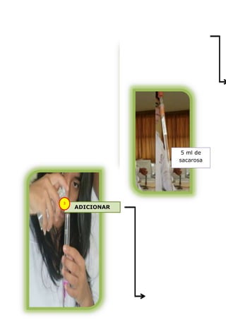 5 ml de
                sacarosa




3
    ADICIONAR
 