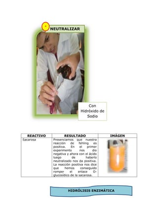 4
               NEUTRALIZAR




                                       Con
                                   Hidróxido de
                                      Sodio




  REACTIVO             RESULTADO                  IMÁGEN
Sacarosa        Presenciamos que nuestra
                reacción    de    fehling    es
                positiva.   En     el   primer
                experimento        nos      dio
                negativa y ahora con el ácido
                luego        de        haberlo
                neutralizado nos da positiva.
                La reacción positiva nos dice
                que     hemos      conseguido
                romper     el    enlace     O-
                glucosídico de la sacarosa.




                          HIDRÓLISIS ENZIMÁTICA
 