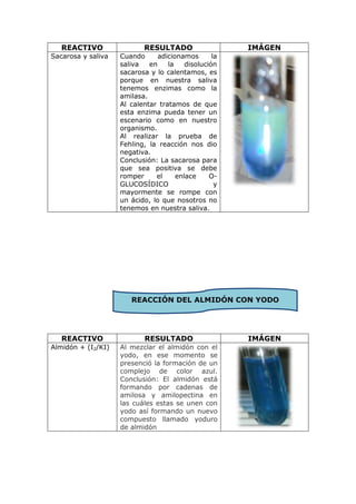 REACTIVO                RESULTADO                   IMÁGEN
Sacarosa y saliva   Cuando      adicionamos       la
                    saliva   en    la    disolución
                    sacarosa y lo calentamos, es
                    porque en nuestra saliva
                    tenemos enzimas como la
                    amilasa.
                    Al calentar tratamos de que
                    esta enzima pueda tener un
                    escenario como en nuestro
                    organismo.
                    Al realizar la prueba de
                    Fehling, la reacción nos dio
                    negativa.
                    Conclusión: La sacarosa para
                    que sea positiva se debe
                    romper     el     enlace     O-
                    GLUCOSÍDICO                    y
                    mayormente se rompe con
                    un ácido, lo que nosotros no
                    tenemos en nuestra saliva.




                       REACCIÓN DEL ALMIDÓN CON YODO




   REACTIVO                 RESULTADO                  IMÁGEN
Almidón + (I2/KI)   Al mezclar el almidón con el
                    yodo, en ese momento se
                    presenció la formación de un
                    complejo de color azul.
                    Conclusión: El almidón está
                    formando por cadenas de
                    amilosa y amilopectina en
                    las cuáles estas se unen con
                    yodo así formando un nuevo
                    compuesto llamado yoduro
                    de almidón
 