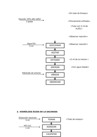 <En tubo de Ensayo>


 Solución 10% alfa naftol
         5 gotas                           <Previamente enfriada>

                                              <Tubo con 2 ml de
                                                  H2SO4>



                                            <Observar reacción>


          Agua fría                         <Observar reacción>
            5 ml              ADICIONAR


                               AGITAR


                               EXTRAER      <2 ml de la mezcla >



                               ENFRIAR        <Con agua helada>


    Hidróxido de amonio
                               AÑADIR


                              OBSERVAR




3. HIDRÓLISIS ÁCIDA DE LA SACAROSA


 Disolución sacarosa
                             TOMAR        <Tubo de ensayo>
         5 ml


      HCl (cc)
                            AGREGAR
       1 ml


                            CALENTAR
 