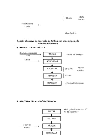 <Baño
                                                30 min
                                                             maría>

    Fenolftaleína
       1 gota


                                               <Con NaOH>



Repetir el ensayo de la prueba de fehling con unas gotas de la
                     solución hidrolizada.

4. HIDROLIZIS ENZIMÁTICA


  Disolución sacarosa
                               TOMAR             <Tubo de ensayo>
          5 ml

       Saliva
                             ADICIONAR


                              CALENTAR                      <Baño
                                                35-37°C
                                                            maría>


                              REPOSAR           15 min



                              REALIZAR          <Prueba De Fehling>




5. REACCIÓN DEL ALMIDÓN CON IODO



                                              <0.1 g de almidón con 10
                              AGITAR          ml de agua fría>


                              FILTRAR


     I2 con KI
                              AÑADIR
      1 gota


                             OBSERVAR
 