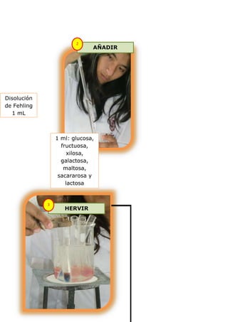 2
                              AÑADIR




Disolución
de Fehling
  1 mL



                 1 ml: glucosa,
                   fructuosa,
                      xilosa,
                   galactosa,
                    maltosa,
                  sacararosa y
                     lactosa


             3
                    HERVIR
 