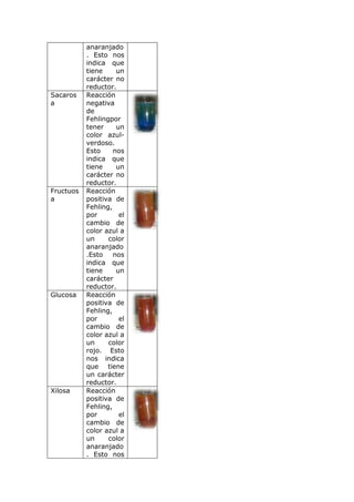 anaranjado
           . Esto nos
           indica que
           tiene     un
           carácter no
           reductor.
Sacaros    Reacción
a          negativa
           de
           Fehlingpor
           tener     un
           color azul-
           verdoso.
           Esto     nos
           indica que
           tiene     un
           carácter no
           reductor.
Fructuos   Reacción
a          positiva de
           Fehling,
           por        el
           cambio de
           color azul a
           un     color
           anaranjado
           .Esto    nos
           indica que
           tiene     un
           carácter
           reductor.
Glucosa    Reacción
           positiva de
           Fehling,
           por        el
           cambio de
           color azul a
           un     color
           rojo. Esto
           nos indica
           que tiene
           un carácter
           reductor.
Xilosa     Reacción
           positiva de
           Fehling,
           por        el
           cambio de
           color azul a
           un     color
           anaranjado
           . Esto nos
 
