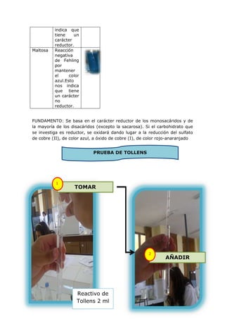 indica que
          tiene    un
          carácter
          reductor.
Maltosa   Reacción
          negativa
          de Fehling
          por
          mantener
          el     color
          azul.Esto
          nos indica
          que tiene
          un carácter
          no
          reductor.


FUNDAMENTO: Se basa en el carácter reductor de los monosacáridos y de
la mayoría de los disacáridos (excepto la sacarosa). Si el carbohidrato que
se investiga es reductor, se oxidará dando lugar a la reducción del sulfato
de cobre (II), de color azul, a óxido de cobre (I), de color rojo-anaranjado


                            PRUEBA DE TOLLENS




           1
                    TOMAR




                                                       2
                                                               AÑADIR




                     Reactivo de
                     Tollens 2 ml
 