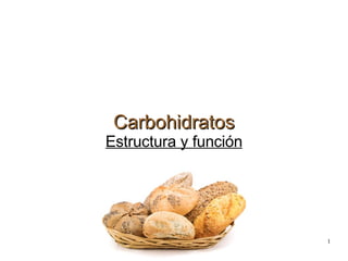 Carbohidratos Estructura y función 