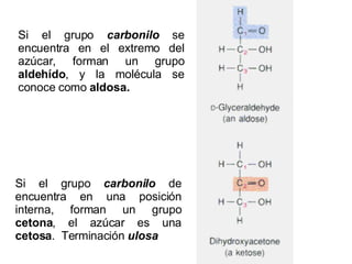 Si el grupo  carbonilo  de encuentra en una posición interna, forman un grupo  cetona , el azúcar es una  cetosa .  Terminación  ulosa Si el grupo  carbonilo  se encuentra en el extremo del azúcar, forman un grupo  aldehído , y la molécula se conoce como  aldosa. 