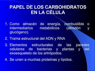 PAPEL DE LOS CARBOHIDRATOS EN LA CÉLULA Como almacén de energía, combustible o intermediarios metabólicos (almidón y glucógeno). Trama estructural del ADN y RNA  Elementos estructurales de las paredes celulares de bacterias y plantas y del exoesqueleto de los artrópodos. Se unen a muchas proteínas y lípidos. 
