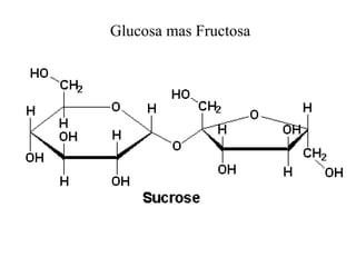 Glucosa mas Fructosa 