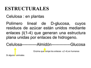 ESTRUCTURALES  Celulosa : en plantas Polímero lineal de D-glucosa, cuyos residuos de azúcar están unidos mediante enlaces   (1-4) que generan una estructura plana unidas por enlaces de hidrogeno. Celulosa-----------Almidón--------------Glucosa Enzima que rompe los enlaces   (1-4) en humanos Si algunos animales 