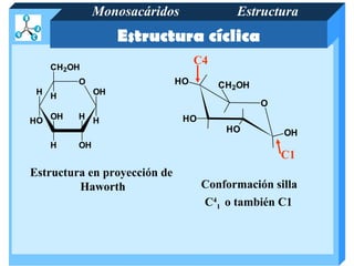 Monosacáridos               Estructura
                    Estructura cíclica
                                   C4
     CH 2OH
          O                   HO        CH2OH
 H H           OH
                                                O
     OH   H H                  HO
HO
                                         HO         OH
     H    OH
                                                    C1
Estructura en proyección de
         Haworth                    Conformación silla
                                    C41 o también C1
 
