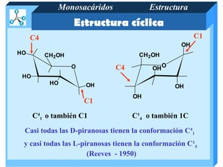 Monosacáridos              Estructura
                  Estructura cíclica
     C4                                                 C1
                                                   OH
HO        CH2OH                      CH2OH
                  O           C4         OH O
 HO
           HO         OH                         OH
                                   OH
                      C1

      C41 o también C1             C14 o también 1C

 Casi todas las D-piranosas tienen la conformación C41
 y casi todas las L-piranosas tienen la conformación C14
                      (Reeves - 1950)
 