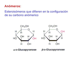 Anómeros:
Esteroisómeros que difieren en la configuración
de su carbono anómerico
 