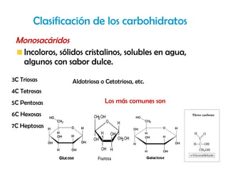 Clasificación de los carbohidratos
 Monosacáridos
  Incoloros, sólidos cristalinos, solubles en agua,
  algunos con sabor dulce.
3C Triosas       Aldotriosa o Cetotriosa, etc.
4C Tetrosas
5C Pentosas                   Los más comunes son
6C Hexosas
7C Heptosas
 