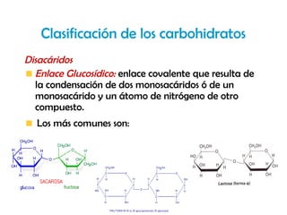 Clasificación de los carbohidratos
Disacáridos
  Enlace Glucosídico: enlace covalente que resulta de
  la condensación de dos monosacáridos ó de un
  monosacárido y un átomo de nitrógeno de otro
  compuesto.
  Los más comunes son:
 