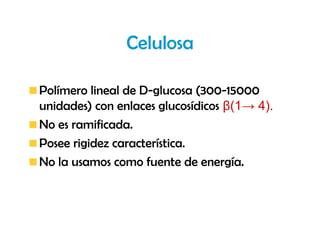 Celulosa

Polímero lineal de D-glucosa (300-15000
unidades) con enlaces glucosídicos β(1→ 4).
No es ramificada.
Posee rigidez característica.
No la usamos como fuente de energía.
 