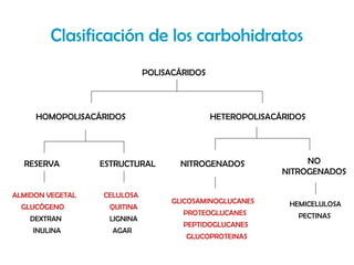 Clasificación de los carbohidratos
                             POLISACÁRIDOS




     HOMOPOLISACÁRIDOS                       HETEROPOLISACÁRIDOS




  RESERVA         ESTRUCTURAL        NITROGENADOS               NO
                                                           NITROGENADOS

ALMIDON VEGETAL   CELULOSA
                                   GLICOSAMINOGLUCANES      HEMICELULOSA
  GLUCÓGENO        QUITINA
                                     PROTEOGLUCANES           PECTINAS
    DEXTRAN        LIGNINA
                                     PEPTIDOGLUCANES
    INULINA         AGAR
                                      GLUCOPROTEINAS
 