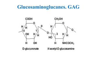 Glucosaminoglucanes. GAG
 
