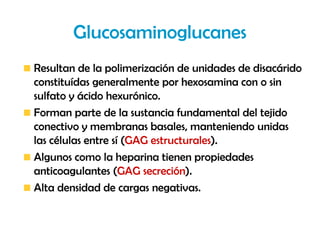 Glucosaminoglucanes
Resultan de la polimerización de unidades de disacárido
constituídas generalmente por hexosamina con o sin
sulfato y ácido hexurónico.
Forman parte de la sustancia fundamental del tejido
conectivo y membranas basales, manteniendo unidas
las células entre sí (GAG estructurales).
Algunos como la heparina tienen propiedades
anticoagulantes (GAG secreción).
Alta densidad de cargas negativas.
 