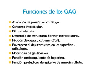Funciones de los GAG
Absorción de presión en cartilago.
Cemento intercelular.
Filtro molecular.
Desarrollo de estructuras fibrosas extracelulares.
Fijación de agua y cationes (Ca+2 ).
Favorecen el deslizamiento en las superficies
articulares.
Materiales de gelificación.
Función anticoagulante de heparina.
Función protectora de epitelios de mucoin sulfato.
 