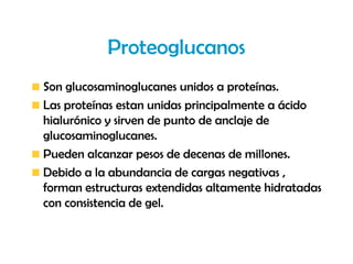 Proteoglucanos
Son glucosaminoglucanes unidos a proteínas.
Las proteínas estan unidas principalmente a ácido
hialurónico y sirven de punto de anclaje de
glucosaminoglucanes.
Pueden alcanzar pesos de decenas de millones.
Debido a la abundancia de cargas negativas ,
forman estructuras extendidas altamente hidratadas
con consistencia de gel.
 