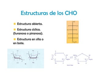 Estructuras de los CHO
   Estructura abierta.
   Estructura cíclica.
(furanosa o piranosa).
   Estructura en silla o
en bote.
 
