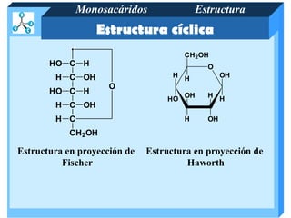 Monosacáridos                 Estructura
                  Estructura cíclica
                                       CH 2OH
       HO C H                                 O
        H C OH                      H H            OH
                     O
       HO C H                          OH     H H
                                  HO
        H C OH
        H C                            H      OH

           CH 2OH

Estructura en proyección de   Estructura en proyección de
          Fischer                      Haworth
 