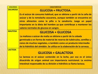 DISACÁRIDO CARACTERÍSTICAS
SACAROSA
GLUCOSA + FRUCTOSA.
Es el azúcar de consumo habitual, que se obtiene a partir de la caña de
azúcar y de la remolacha azucarera, aunque también se encuentra en
otros alimentos como la piña o la zanahoria. Juega un papel
importante en la dieta del hombre ya que contribuye a mantener los
valores normales de glucosa en sangre.
MALTOSA
GLUCOSA + GLUCOSA
La maltosa o azúcar de malta se obtiene a partir de la cebada
germinada o en forma de material de reserva de tubérculos, semillas y
raíces de muchos vegetales, o también como un producto intermedio
de la hidrólisis del almidón. Se utiliza en la elaboración de la cerveza.
LACTOSA
GLUCOSA + GALACTOSA
La lactosa es el azúcar contenido en la leche, por eso es el único
disacárido de origen animal con importancia nutricional. La enzima
intestinal responsable de su división o hidrólisis se llama lactasa.
 