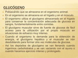 GLUCÓGENO
 Polisacárido que se almacena en el organismo animal.
 En el organismo se almacena en el hígado y en el músculo.
 El organismo utiliza el glucógeno almacenado en el hígado
para conservar la concentración adecuada de glucosa en
sangre, fundamentalmente entre comidas.
 El glucógeno muscular sirve de fuente de glucosa de fácil
acceso para la utilización por el propio músculo en
situaciones de esfuerzo muy intenso.
 Cuando el organismo lo demande para la obtención de
energía, el glucógeno hepático y el muscular se irán
desdoblando para formar otra vez moléculas de glucosa.
 Así los depósitos de glucógeno se van llenando cuando
ingerimos carbohidratos y se van vaciando con el ayuno o
cuando hacemos ejercicio intenso y prolongado.
 