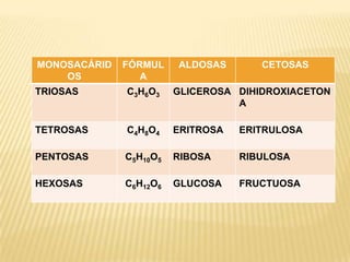 MONOSACÁRID
OS
FÓRMUL
A
ALDOSAS CETOSAS
TRIOSAS C3H6O3 GLICEROSA DIHIDROXIACETON
A
TETROSAS C4H8O4 ERITROSA ERITRULOSA
PENTOSAS C5H10O5 RIBOSA RIBULOSA
HEXOSAS C6H12O6 GLUCOSA FRUCTUOSA
 