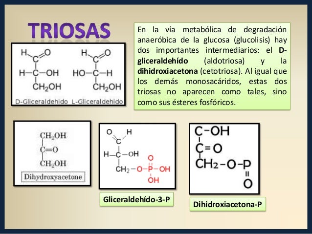 Carbohidratos